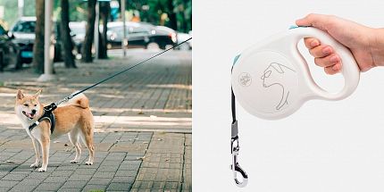 Обзор Xiaomi Jordan Judy Pet Telescopic Traction Rope: удобная рулетка для прогулок с собакой